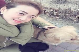 游戏王朝日版免费观看